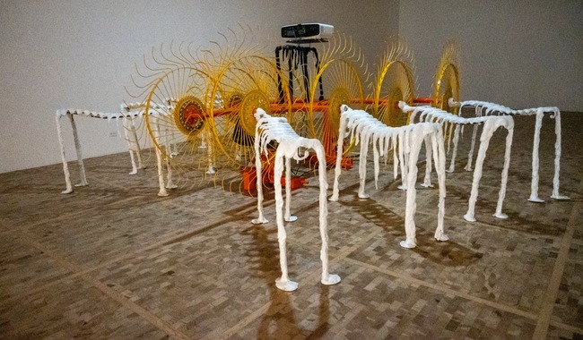 Raphaela Vogel presenta en México su exposición 'No tengo preguntas, solo respuestas' en el Museo Tamayo