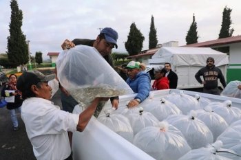 Gobierno del Estado de México impulsa la acuacultura con siembra de alevines en Soyaniquilpan