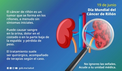 Secretaría de Salud llama a prevenir el cáncer de riñón con hábitos saludables y detección temprana