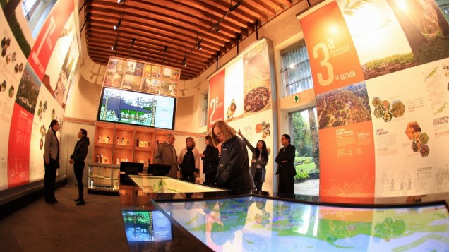 Explora el Bosque de Chapultepec con 'La Ruta del Chapulín', recorrido guiado de la SEDEMA