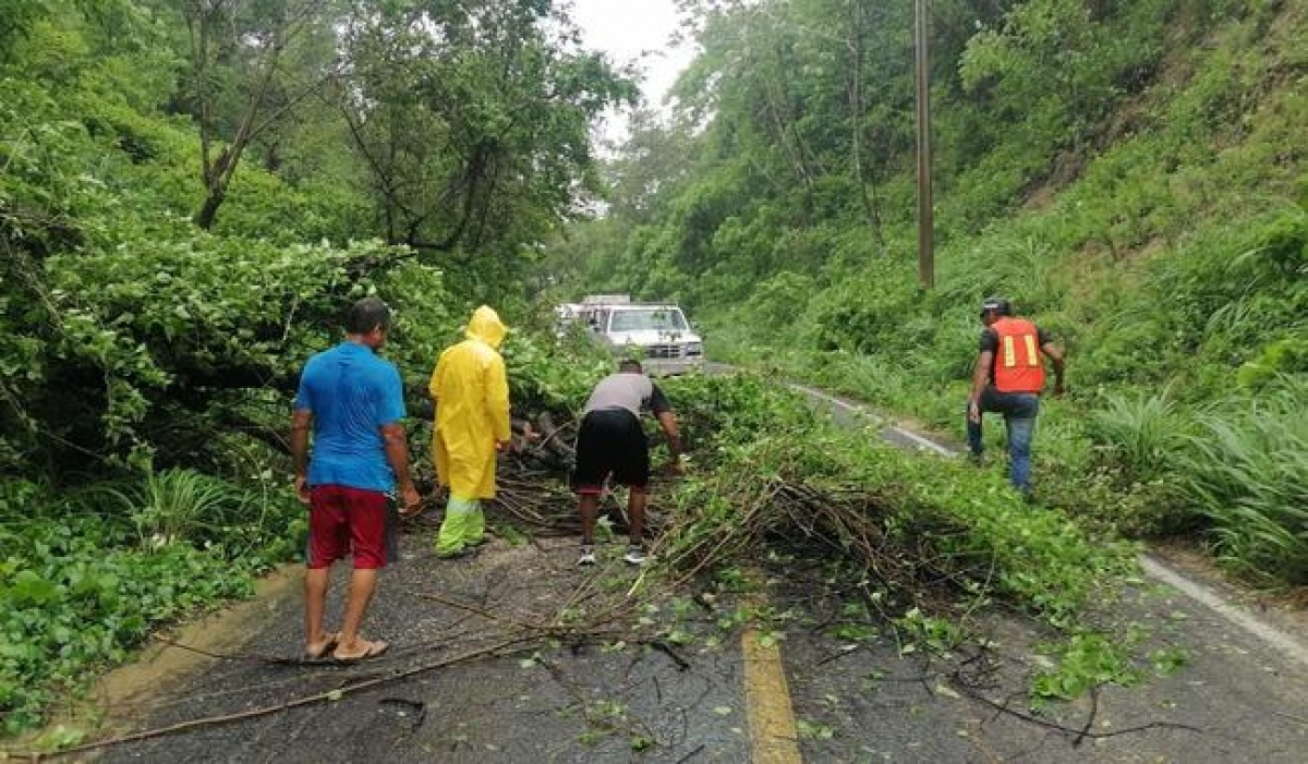 SICT atiende más de 350 afectaciones carreteras por huracán Erick en Oaxaca y Guerrero
