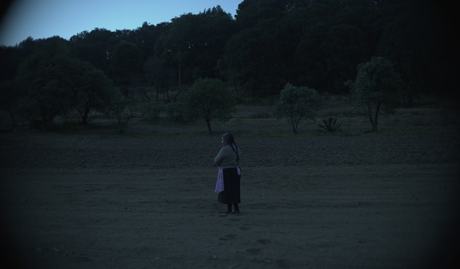 Tzofo, documental en otomí de Salvador Martínez Chacruna, aborda memoria íntima y sanación familiar
