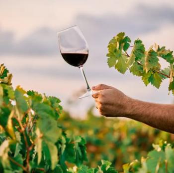 Chile busca posicionar vinos premium en México y escalar al top 5 de exportadores