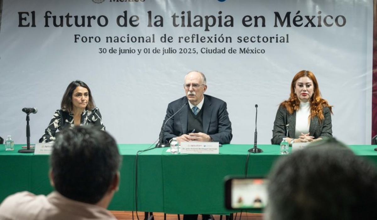 México apuesta por la autosuficiencia en tilapia como eje de soberanía alimentaria