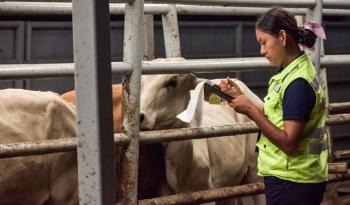 México y EE. UU. acuerdan reapertura escalonada de frontera para el comercio de ganado en pie