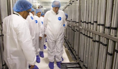 México y EUA invertirán 51 mdd para producir moscas estériles contra el gusano barrenador