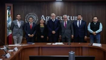 Grupo MASECA comprará 200 mil toneladas más de maíz blanco en Sinaloa
