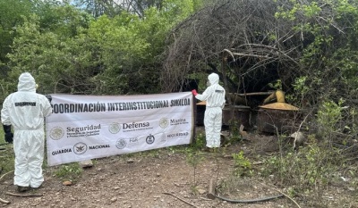 Semar desmantela narcolaboratorio en Sinaloa con más de 950 kilos de metanfetamina