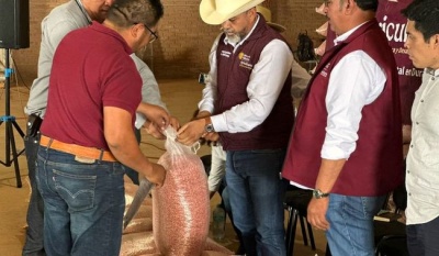 Entregan más de 63 mil kg de semilla certificada de frijol en Durango para impulsar autosuficiencia alimentaria