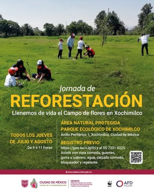 Invitan a jornadas de reforestación en el Parque Ecológico de Xochimilco durante julio y agosto