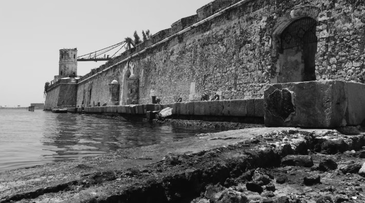 Impartirán taller sobre acervos fotográficos en Veracruz con foco en el primer daguerrotipo de México