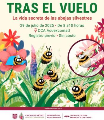 Sendero educativo sobre abejas silvestres promueve cultura ambiental en Xochimilco