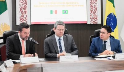 México y Brasil fortalecen comercio agroalimentario con acuerdos sanitarios y exportación de aguacate