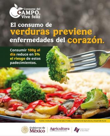 Frutas y verduras de temporada: clave para prevenir enfermedades y fortalecer la salud