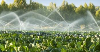 Morelos impulsa la tecnificación del agua en el campo con inversión histórica