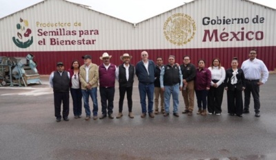 Prosebien distribuye 4,500 toneladas de semilla mejorada de frijol para impulsar autosuficiencia alimentaria