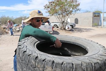 Los Cabos será sede del arranque nacional de la Segunda Jornada contra el Dengue 2025