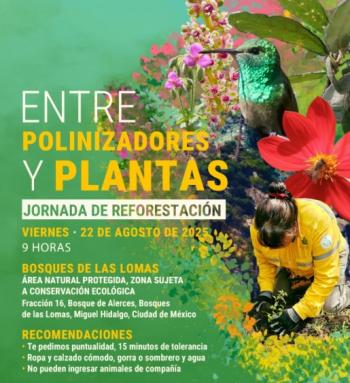 Ciudad de México impulsa reforestación con 750 plantas nativas para proteger a polinizadores