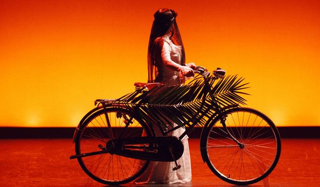 Festival Cervantino 2025 presentará estrenos internacionales y más de 140 funciones en su edición 53