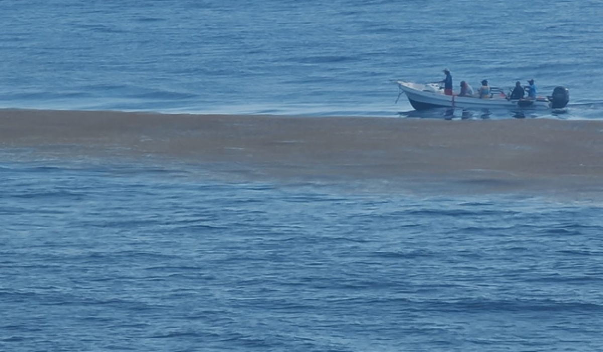Investigadores documentan el sargazo pelágico en altamar y preparan nuevo crucero científico desde Cozumel