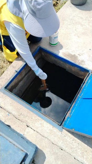 Secretaría de Salud de Guanajuato monitorea más de mil ovitrampas en Salamanca para prevenir dengue