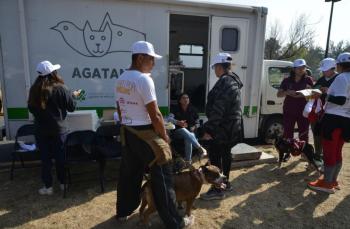 Carrera 'Amar es Adoptar' busca fomentar la adopción responsable y el bienestar animal en CDMX