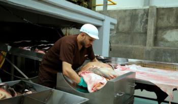 México y Dinamarca fortalecen cooperación para mejorar plantas de subproductos animales con Buenas Prácticas de Manufactura