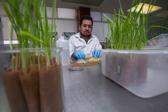 Convocatoria Del Encuentro De Innovación Agroalimentaria 2025 Se Amplía Hasta El 20 De Septiembre