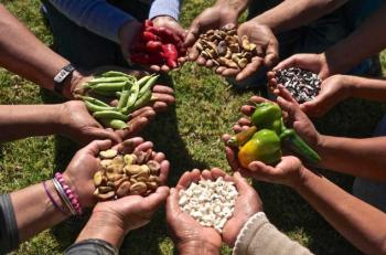 México avanza hacia la soberanía alimentaria con compra directa de productos del campo