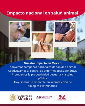 Pronabive, casi cinco décadas protegiendo la sanidad animal en México