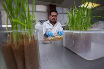 Convocatoria Del Encuentro De Innovación Agroalimentaria 2025 Se Amplía Hasta El 20 De Septiembre