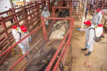 Senasica aclara: reportar casos de gusano barrenador no implica sanciones