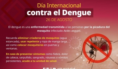 Secretaría de Salud llama a reforzar medidas contra el dengue; casos bajan 80% en 2025