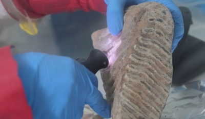 Estudio en Science revela que mamut colombino en México tuvo linaje distinto al de Estados Unidos y Canadá