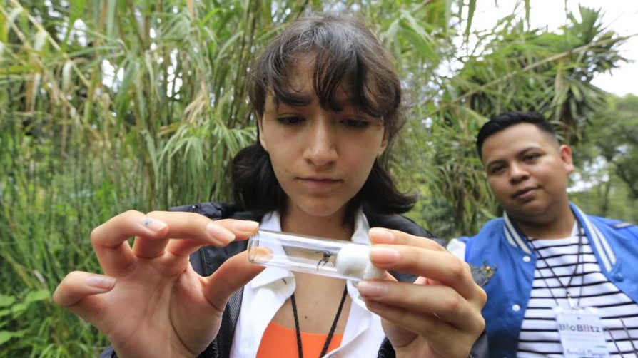 BioBlitz Chapultepec 2025: 24 horas de registro de biodiversidad en la Segunda Sección del bosque