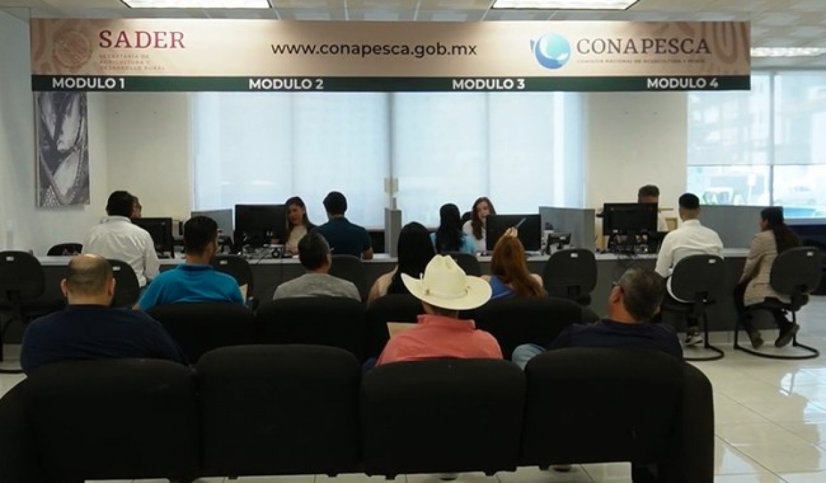 Conapesca simplifica trámites: plazos de respuesta ágiles y una sola homoclave para avisos