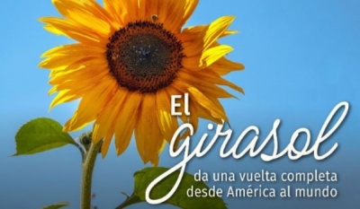 El Tlacuache explora el origen y domesticación del girasol en América