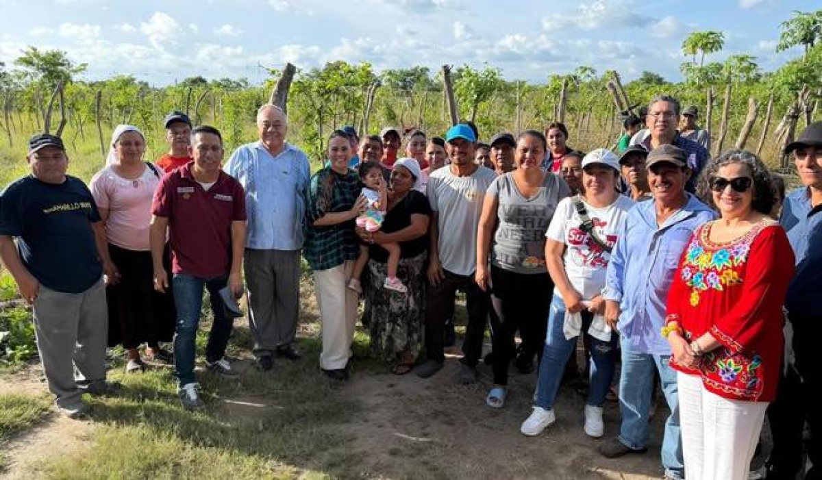 AMEXCID supervisa en El Salvador programas Sembrando Vida, Escuelas México y Juntos por el Bienestar