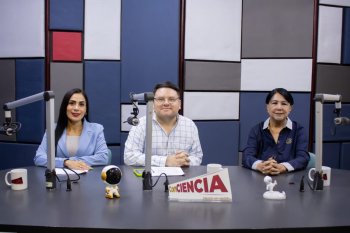 Financia COQHCYT investigación sobre efectos del sargazo en salud de habitantes de Mahahual y Xcalak