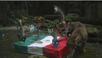 Centros de Conservación de la Ciudad de México celebran Fiestas Patrias con actividades educativas sobre biodiversidad