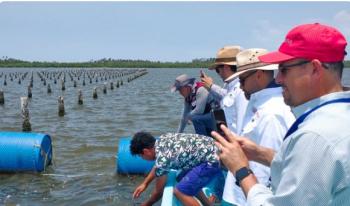 Conapesca capacita a 1,425 acuacultores en 13 estados para fortalecer tilapia y ostión en México