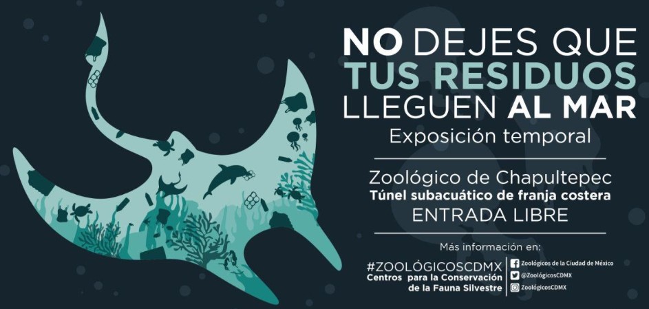 Chapultepec abre exposición sobre el impacto de los plásticos en mares y ecosistemas