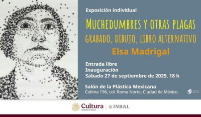 Exposición 'Muchedumbres y otras plagas' de Elsa Madrigal llega al Salón de la Plástica Mexicana