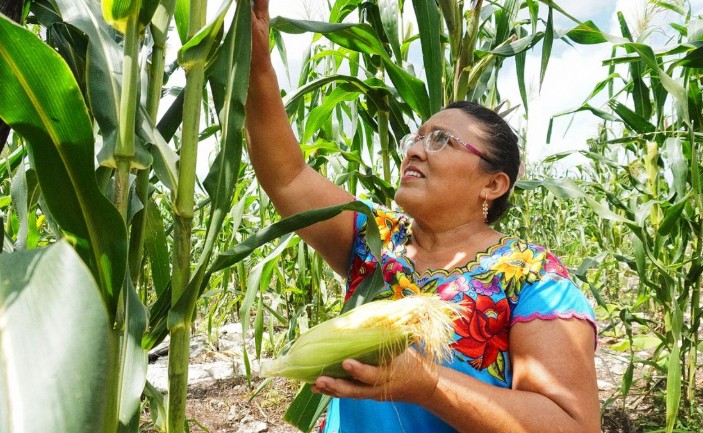 Salud y UAM avanzan en convenio para impulsar soberanía alimentaria en México