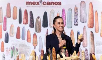 Claudia Sheinbaum lanza programa Sin maíz no hay país para fortalecer a pequeños productores