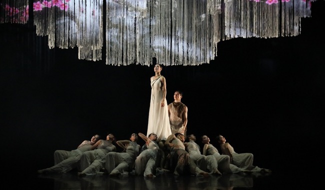 Jajack Movement llega a México con ‘Samsara of Blossom’, espectáculo multisensorial del Circuito Cervantino
