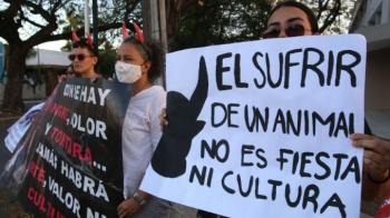 Colectivos animalistas exigen prohibir las corridas de toros en Hidalgo y reformas al Código Penal