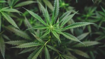 Estudio revela que el CBD podría reducir la inflamación cerebral asociada al Alzheimer