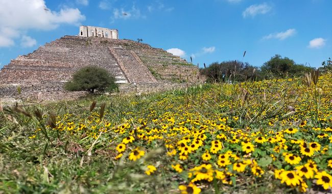 Zona Arqueológica El Cerrito recibirá el Sello de Biodiversidad Querétaro por su compromiso con la conservación ambiental