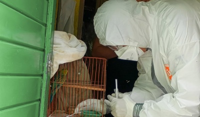 Senasica refuerza medidas de prevención contra la influenza aviar AH5N1 ante temporada otoño-invierno